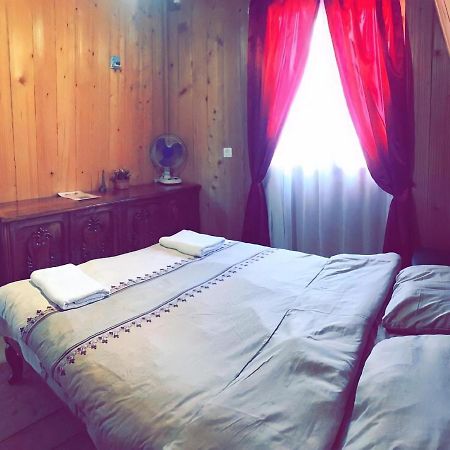 Guesthouse Greenside Borjomi Εξωτερικό φωτογραφία