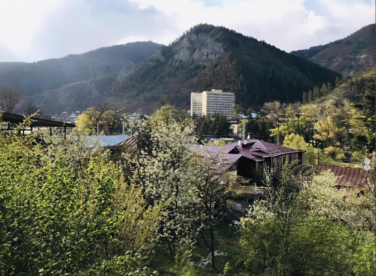 Guesthouse Greenside Borjomi Εξωτερικό φωτογραφία