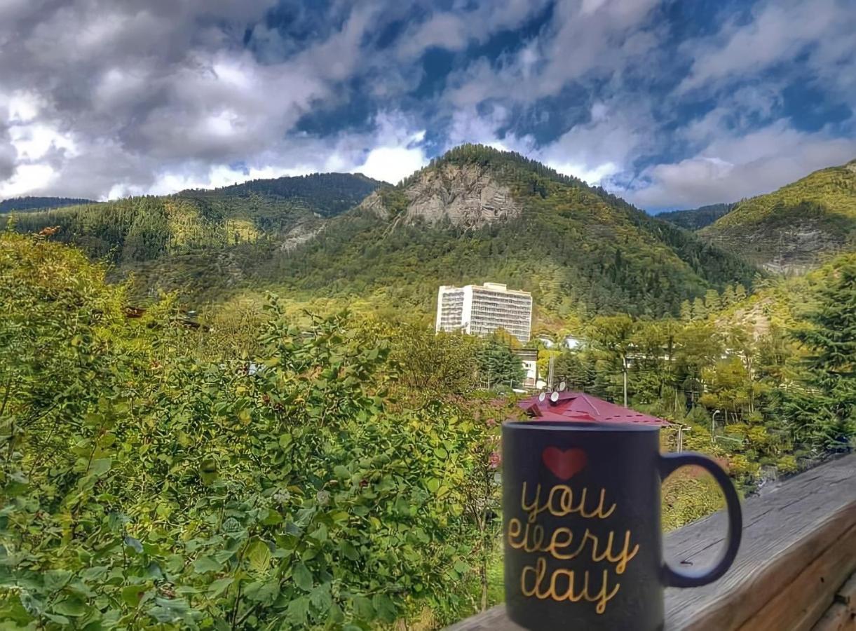 Guesthouse Greenside Borjomi Εξωτερικό φωτογραφία