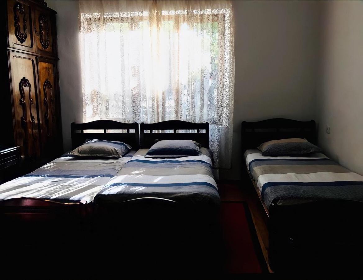 Guesthouse Greenside Borjomi Εξωτερικό φωτογραφία